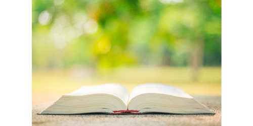 KSOiW wspiera inicjatywę ustawodawczą na rzecz lekcji religii i etyki w szkołach